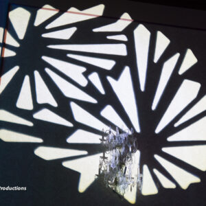 A shadow of a flower on a wall.