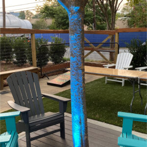 A tree is lit up with a blue light at a Georgia wedding, enhanced by our DJ service.