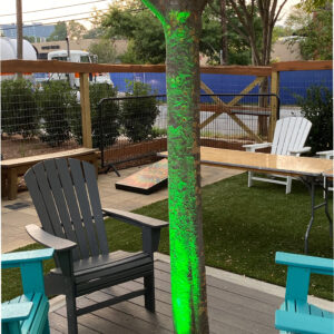 A tree with a green light in the middle of it, perfect for a photo booth rental in Georgia.